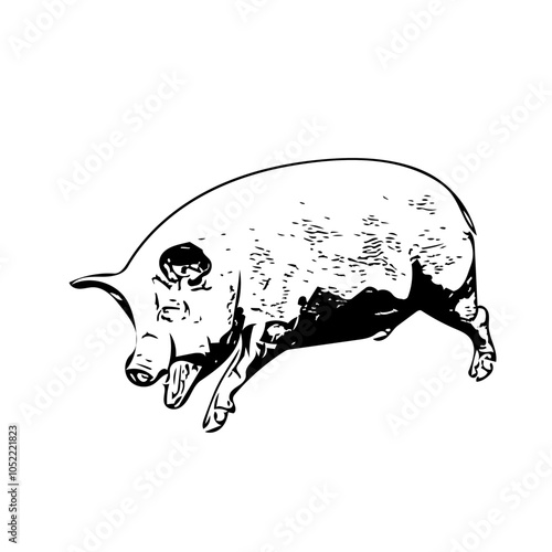 Piggy fat animal vector ilustration isolated design 