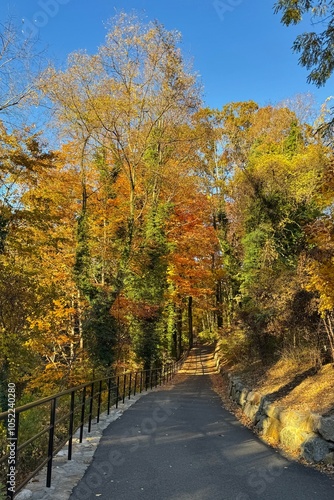 Obraz na płótnie Colorful autumn foliage in Bronx River Parkway Reservation in New York w salonie