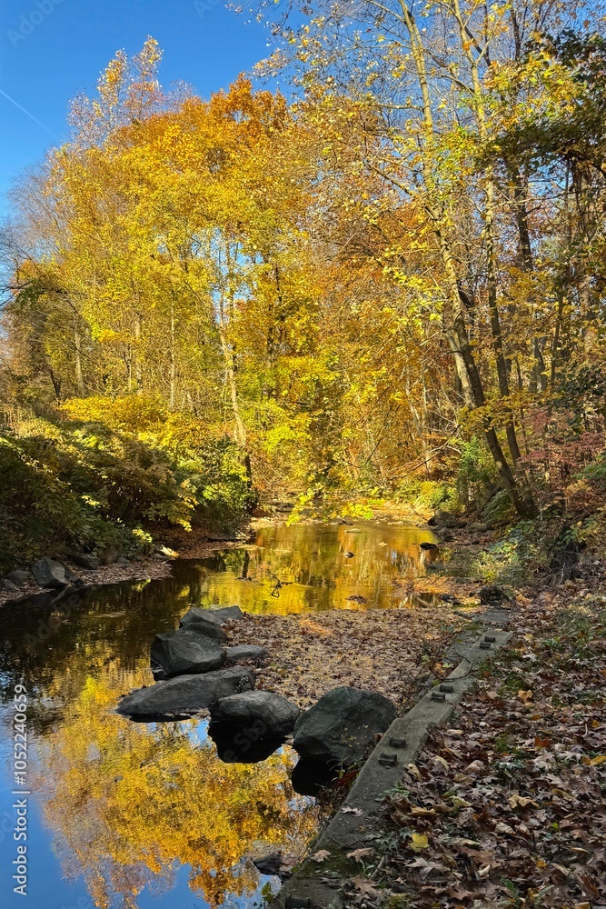 Colorful autumn foliage in Bronx River Parkway Reservation in New York