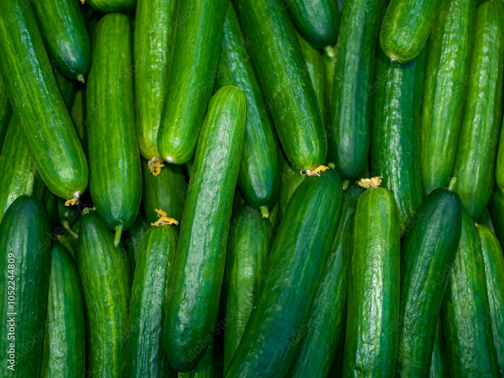 Long cucumbers, many cucumber on market top view background Long cucumbers, many cucumber on market top view background