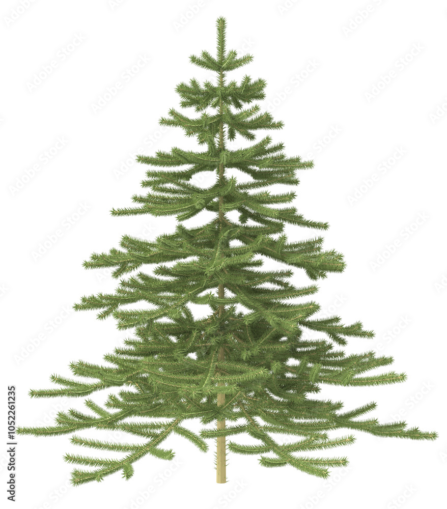 Fototapeta premium Christmas tree without ornaments. 3d illustration transparent background
