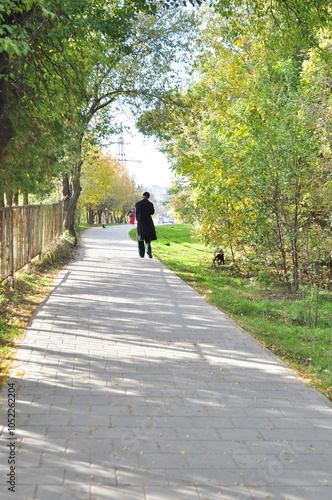 Wallpaper Mural walk in the park Torontodigital.ca