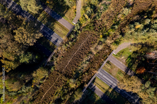 Forest aerial wildlife crossing Twilhaar near Nijverdal forming a safe natural corridor bridge for animals between conservancy areas. Environment photo