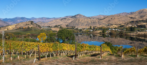 Fall colors of vines and trees and the reflective beauty of Roses Lake near Manson Washington set a beautiful calming scene. photo