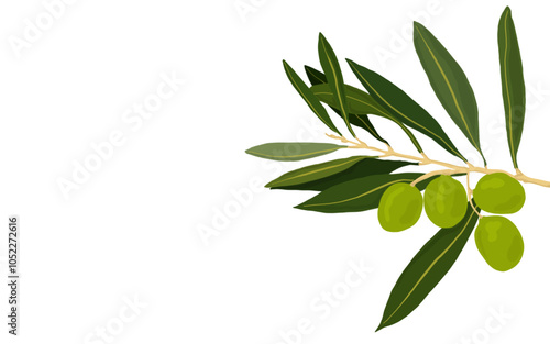 Olive branch, a banner with free space for your text