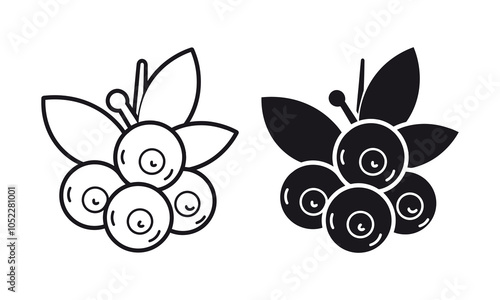 Blueberry Icons, Colors, Silhouette & Outline isolated on white background.
