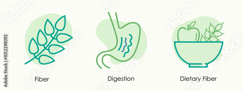 Digestive Health and Fiber Vector Icons: Fiber, Digestion, and Dietary Fiber