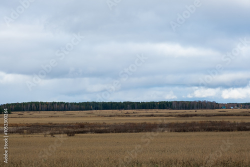 Autumn landscape with field, forest and heavy gray clouds on the sky. Copy space.