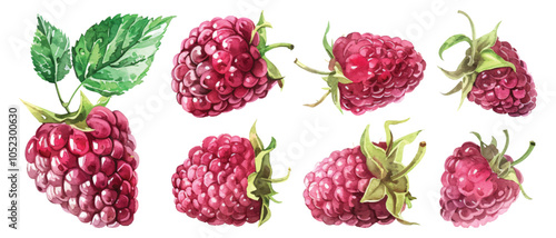 Set watercolor red raspberries cranberry fruits with green leaves design resources elements isolated on transparent background