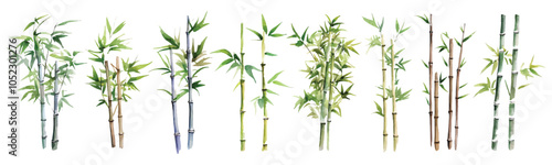 Set watercolor sugar cane stalk leaves bamboo tree plants design resources elements isolated on transparent background