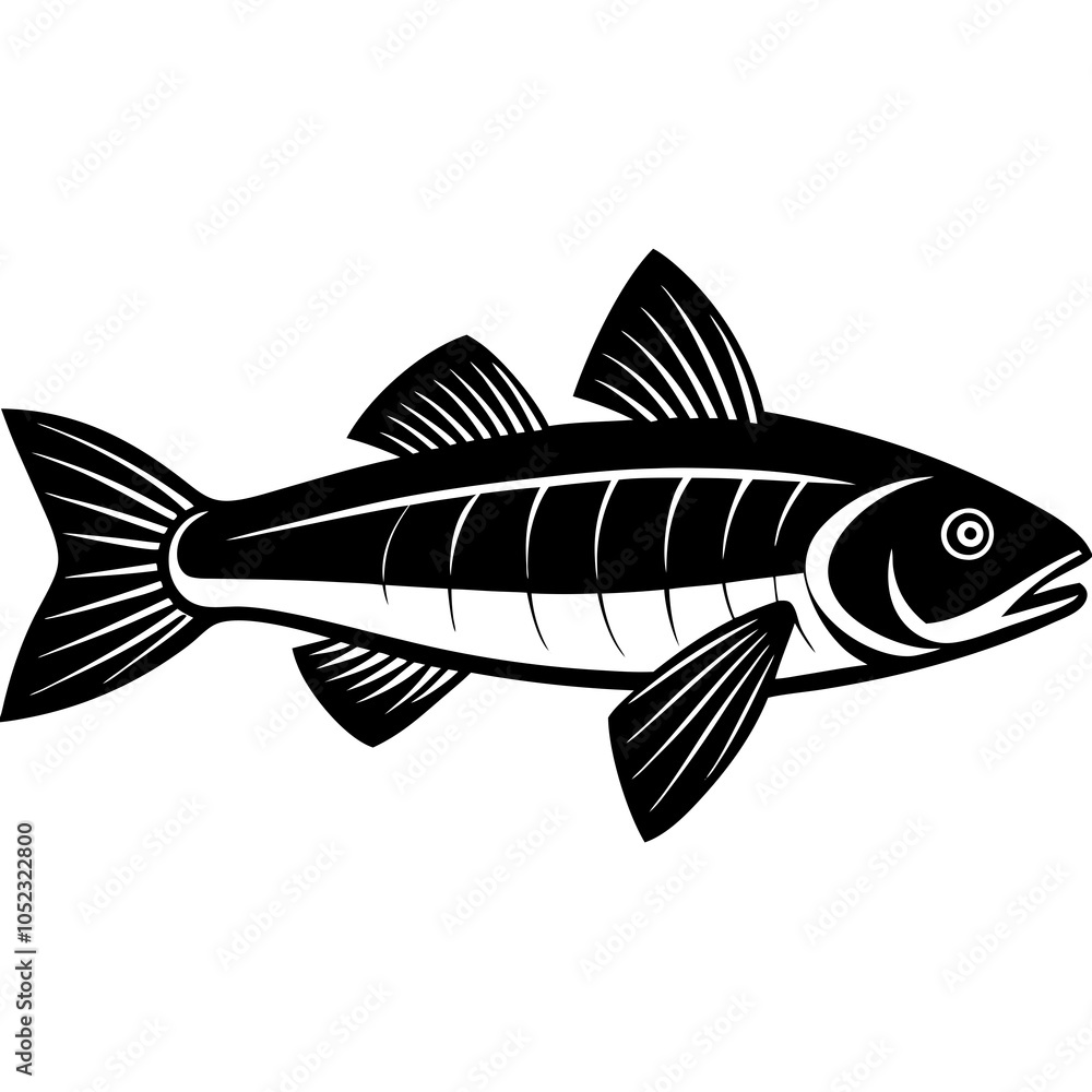fish on a white background fish on a white background