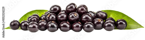 Wallpaper Mural cucumber, food, vegetable, isolated, green, fresh, healthy, white, vegetarian, organic, raw, ingredient, ripe, eating, nature, freshness, diet, object, salad, vegetables, plant, fruit, cucumbers, zucc Torontodigital.ca