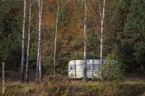 Fototapeta Naklejka Na Ścianę i Meble -  Sunny day. Yellow foliage on trees in autumn