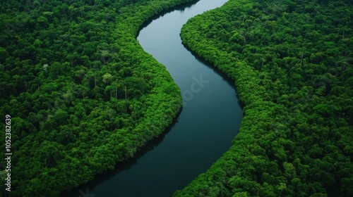 Serene Winding River Through Lush Amazon Jungle