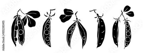 Set of silhouettes, stamps of green pea pods.Vector graphics.