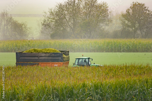 A combine harvester followed by a tractor harvests corn. Corn silage on a foggy day. photo