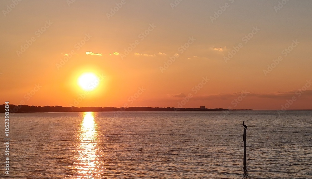 Obraz premium sunset reflecting off the ocean
