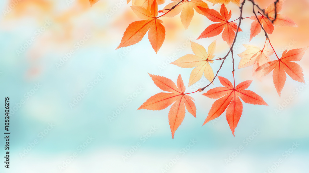 Autumn leaves in vibrant orange and red hang delicately from branches against a soft, blurred blue background, capturing the essence of fall's beauty. Autumn leaves in vibrant orange and red hang delicately from branches against a soft, blurred blue background, capturing the essence of fall's beauty.