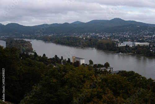 beautiful forest bordered by a green field, top view of the river