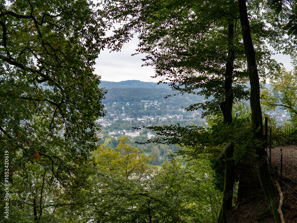 Obraz premium beautiful forest bordered by a green field, top view of the river