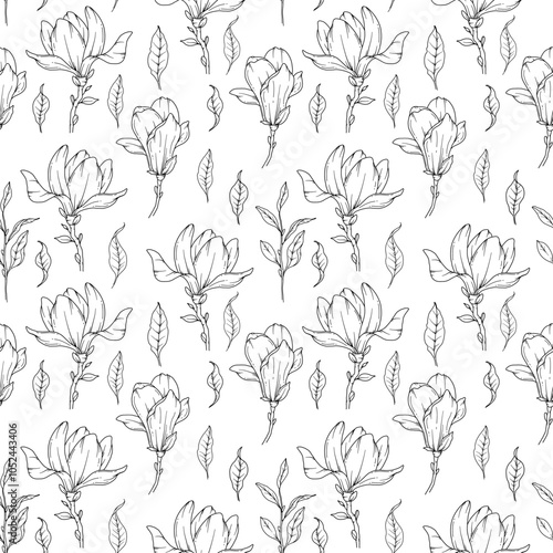 Hand Drawn magnolia Background. Magnolia Seamless Pattern Trendy graphics. Magnolia Line Art. Spring flowers seamless pattern. Magnolia pattern for luxury wallpapers, textile, wedding invitations, car