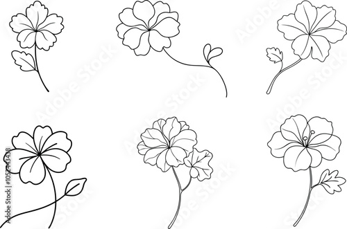 Geranium Line Drawing Vector Stylish Floral Art for Design Project photo