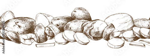Potatoes whole, half, cut, peeled and wedges seamless border. Graphic illustration hand drawn in brown ink. EPS vector on the theme of harvest cooking, food, packaging, vegetable shop design