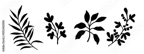 Leaves, plant twigs, palm tree. Hand drawn ink doodle sketch. Vector illustration isolated on white background.