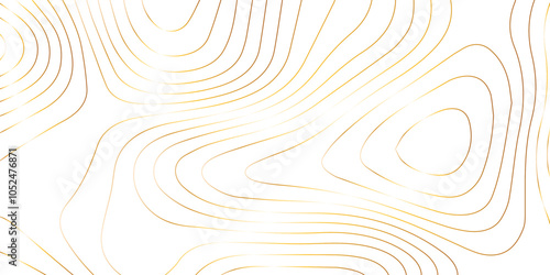 Abstract wave paper curved reliefs background .gradient multicolor wave curve lines banner background design .topographic contours map background .Vector geographic contour map.	