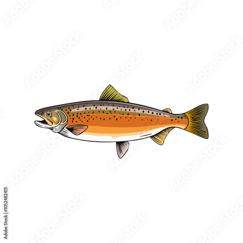 Whole Salmon Fish with Detailed Fins, Scales, and Tail on White Background; Representing Freshwater or Ocean Catch, Ideal for Seafood Lovers and Culinary Dishes