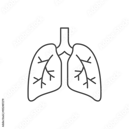 Lungs with bronchi line icon