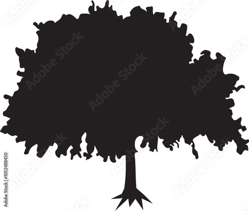 Tree Torest firs and spruces black shapes, Detailed tree silhouettes of various trees on a white background