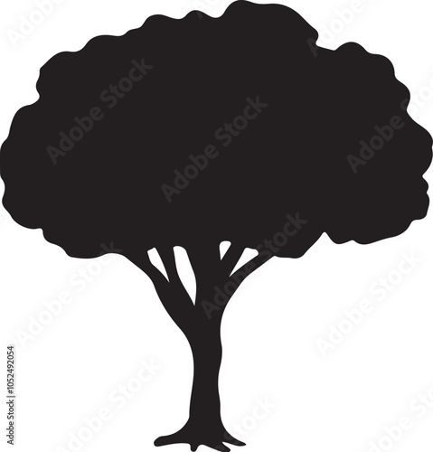  Tree forest firs and spruces black shapes, Detailed tree silhouettes of various trees on a white background