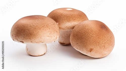 Three fresh porcini mushrooms displayed against a white background, highlighting their earthy texture and culinary appeal.