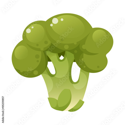 Vector illustration of broccoli, whole bunch of cauliflower, on white background. Whole head of green broccoli, organic food, vegetable, garden harvest, healthy food, greens, ingredient.