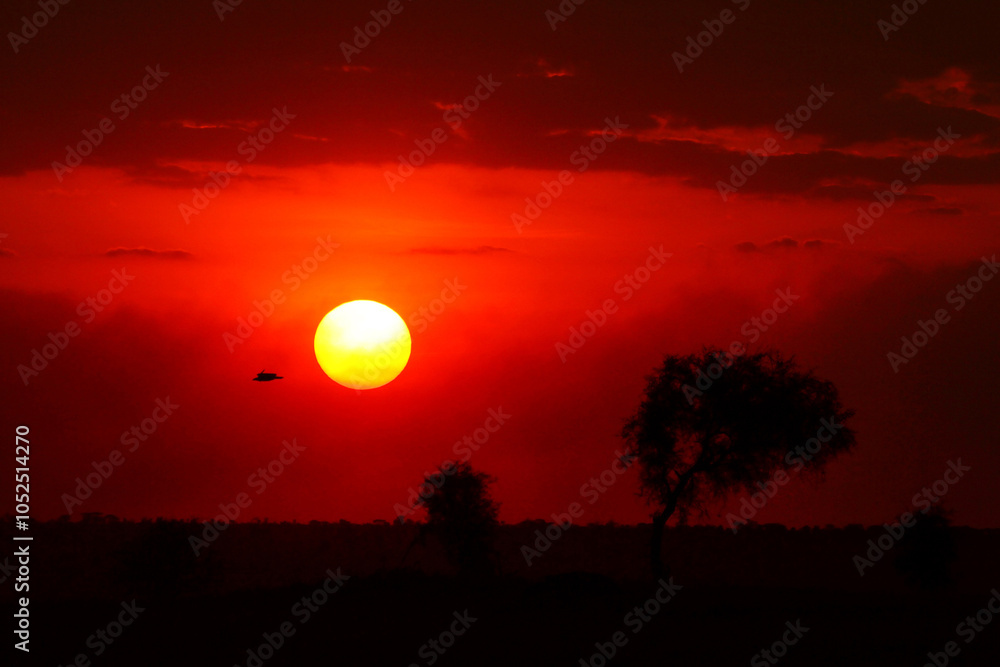 Obraz premium Sunrise or Sunset in Kenya (East Africa)