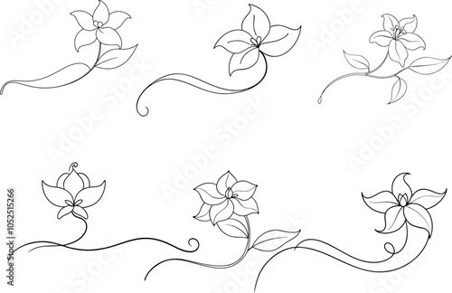 Set of Stunning Line Art of Jasmine Capturing Nature's Beauty in Simplicity