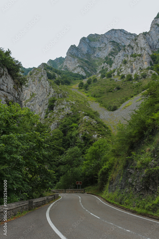 curved forest road in the mountains curved forest road in the mountains