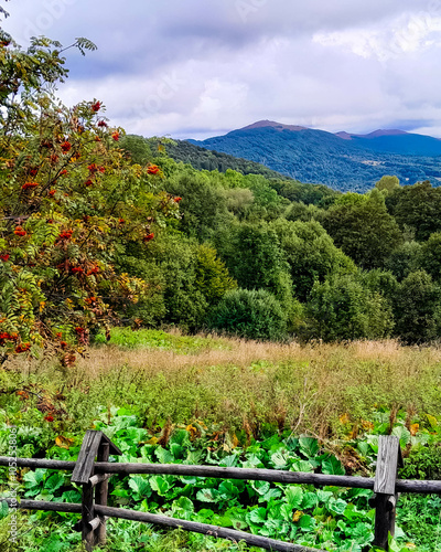 Landscape of Bieszczady Mountains. photo