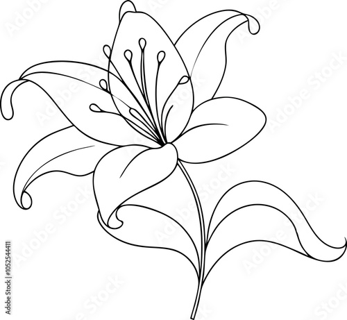 Beautiful Lily in One Line Minimalist Flower Illustration