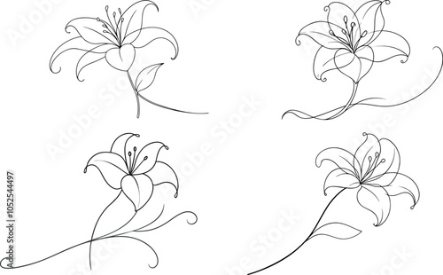 Set of Beautiful Lily in One Line Minimalist Flower Illustration
