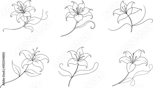 Set of Beautiful Lily in One Line Minimalist Flower Illustration