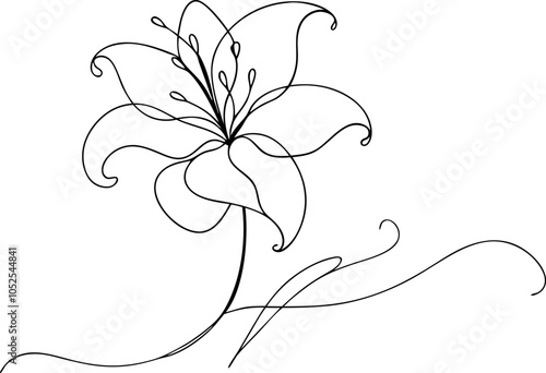 Beautiful Lily in One Line Minimalist Flower Illustration