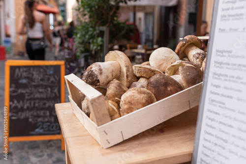 Photography Boletus aereus displayed in a Restaurant in the Trastevere District in Rome