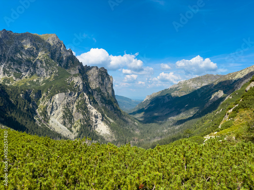 High Tatras, Bielovodska dolina, Slovakia photo