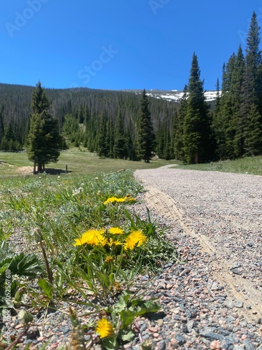 Mountain trail 