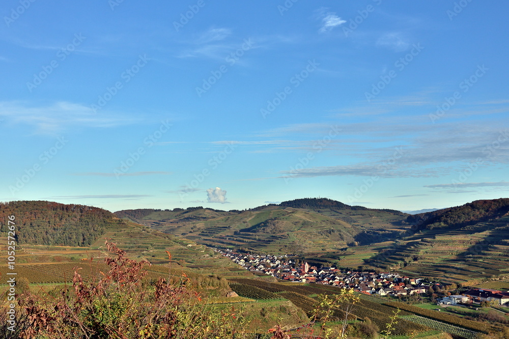 Fototapeta premium Oberbergen im Kaiserstuhl zwischen Weinbergen