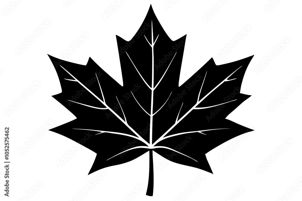 Obraz premium Canadian maple leaf black silhouette vector, maple leaf icon