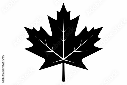 Canadian maple leaf black silhouette vector, maple leaf icon
