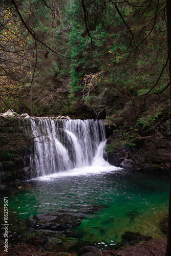 waterfall in the forest